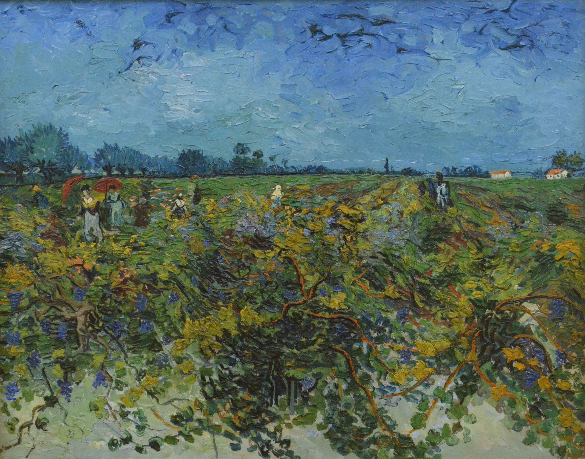 Olha do céu, e vê, e visita esta vinha” – Instituto Poimênica, image size:2048x1608